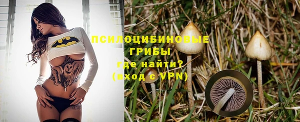 прущий лед Алексин