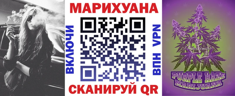 Марихуана семена  Шилка 